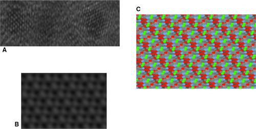 Mesocrystal aggregation of biological apatite nanocrystals