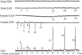 Rectal gland exudates and emissions of Bactrocera bryoniae: chemical identification, electrophysiological and pheromonal functions