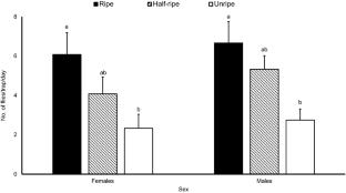 The ripeness stage but not the cultivar influences the attraction of Anastrepha obliqua to guava