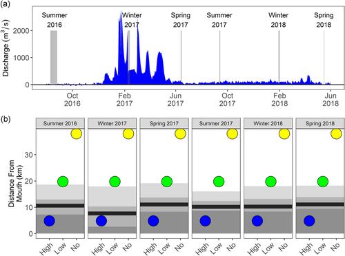 Hydrodynamics drive pelagic communities and food web structure in a tidal environment