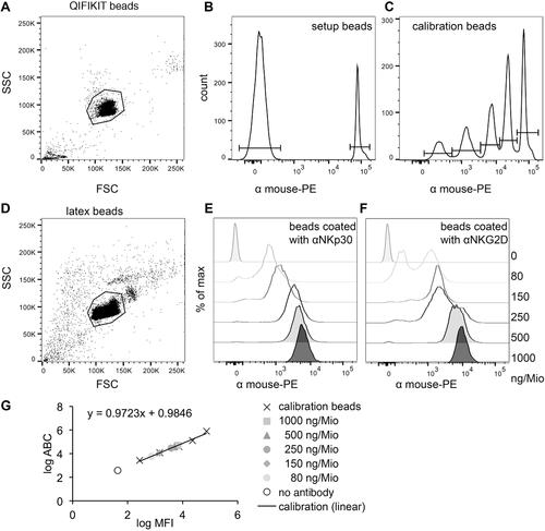 Coated Latex Beads as Artificial Cells for Quantitative Investigations of Receptor/Ligand Interactions