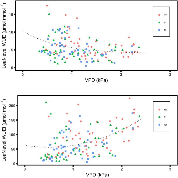 Responses of forest carbon and water coupling to thinning treatments from leaf to stand scales in a young montane pine forest