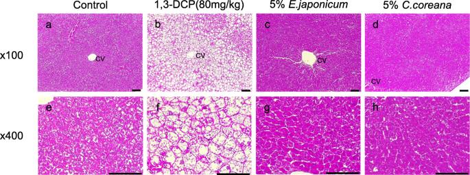 Protective effects of Erythronium japonicum and Corylopsis coreana Uyeki extracts against 1,3-dichloro-2-propanol-induced hepatotoxicity in rats