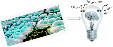 Natural polyenic macrolactams and polycyclic derivatives generated by transannular pericyclic reactions: optimized biogenesis challenging chemical synthesis