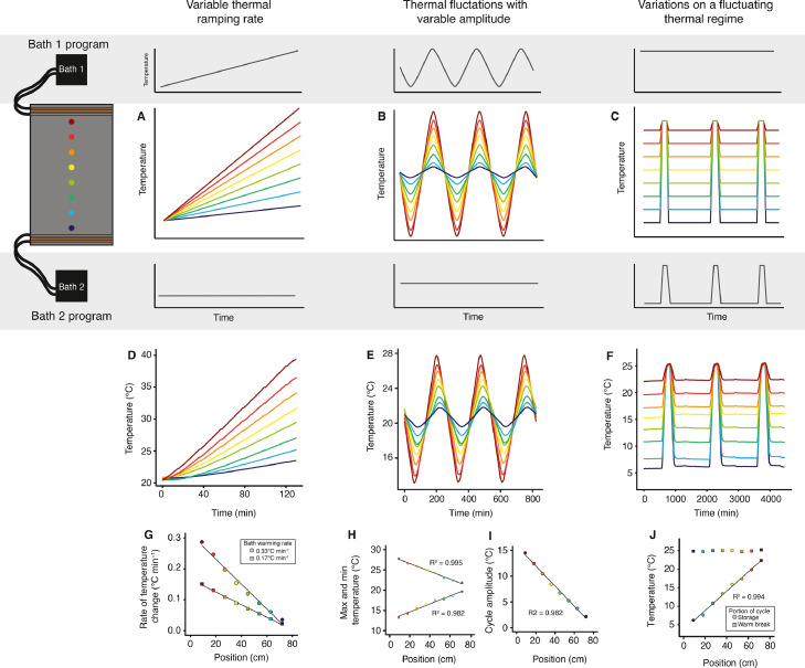 A simple and dynamic thermal gradient device for measuring thermal performance in small ectotherms