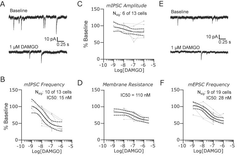Control of synaptic transmission and neuronal excitability in the parabrachial nucleus