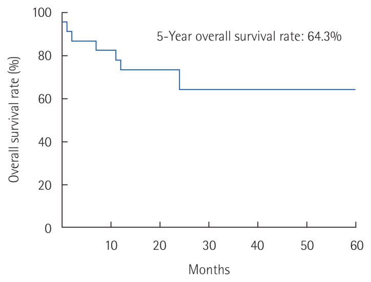 Retroperitoneal sarcomas: Outcomes of repeated resections.