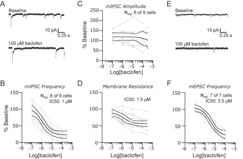 Control of synaptic transmission and neuronal excitability in the parabrachial nucleus