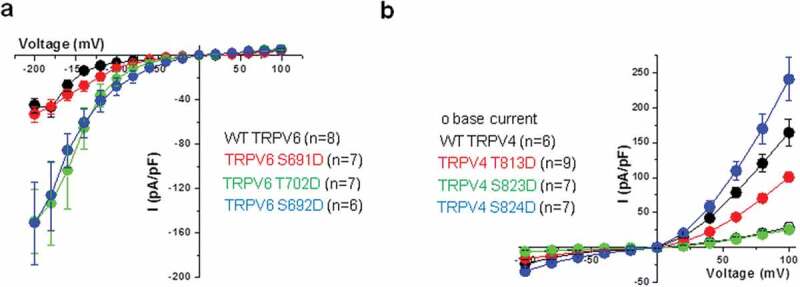 Mutations in calmodulin-binding domains of TRPV4/6 channels confer invasive properties to colon adenocarcinoma cells.