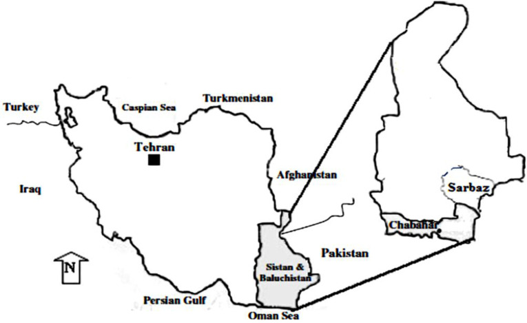 Application of High-Resolution Melting (HRM) Technique towards the Detection of Asymptomatic Malaria in a Malaria Endemic Area of Southeastern Iran under Elimination Program.