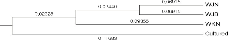 Genetic Variability Comparison of Wild and Cultured Far Eastern Catfish (<i>Silurus asotus</i>) of Korea using Microsatellite Marker.