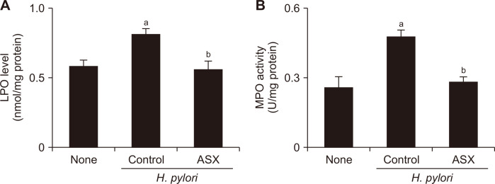 Astaxanthin Inhibits <i>Helicobacter pylori</i>-induced Inflammatory and Oncogenic Responses in Gastric Mucosal Tissues of Mice.