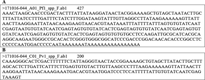 Application of High-Resolution Melting (HRM) Technique towards the Detection of Asymptomatic Malaria in a Malaria Endemic Area of Southeastern Iran under Elimination Program.