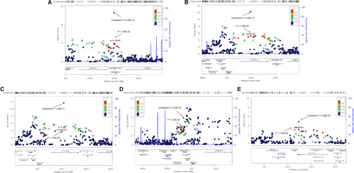 Identification of novel susceptibility loci for non-syndromic cleft lip with or without cleft palate.