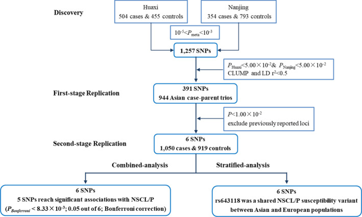 Identification of novel susceptibility loci for non-syndromic cleft lip with or without cleft palate.