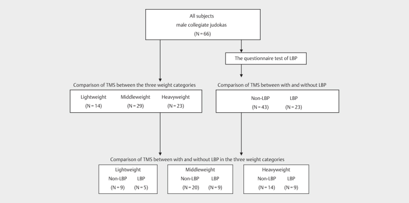 Weight Category-dependent Trunk Muscle Strength and its Relation with LBP in Elite Judokas.