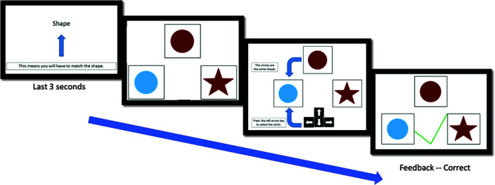 Exploring Idiographic Approaches to Children's Executive Function Performance: An Intensive Longitudinal Study.