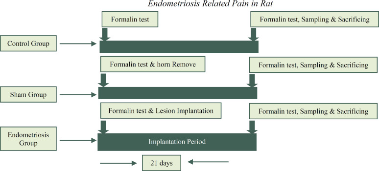 Assessing Pain Behavioral Responses and Neurotrophic Factors in the Dorsal Root Ganglion, Serum and Peritoneal Fluid in Rat Models of Endometriosis.