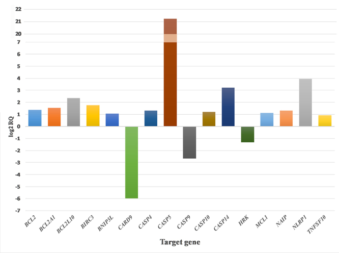 Effect of <i>Bitis gabonica</i> and <i>Dendroaspis angusticeps</i> snake venoms on apoptosis-related genes in human thymic epithelial cells.