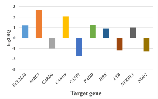 Effect of <i>Bitis gabonica</i> and <i>Dendroaspis angusticeps</i> snake venoms on apoptosis-related genes in human thymic epithelial cells.