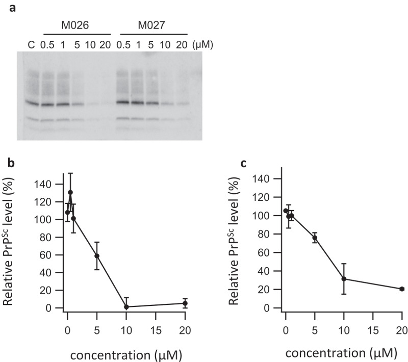 Discovery of a multipotent chaperone, 1-(2,6-Difluorobenzylamino)-3-(1,2,3,4-tetrahydrocarbazol-9-yl)-propan-2-ol with the inhibitory effects on the proliferation of prion, cancer as well as influenza virus.