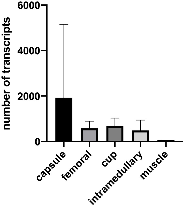 Bacterial Biofilm Components Induce an Enhanced Inflammatory Response Against Metal Wear Particles.