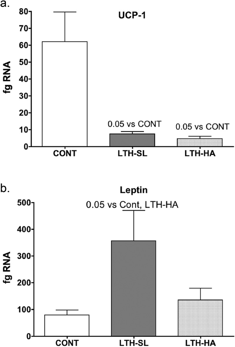 Long term hypoxia during gestation alters perirenal adipose tissue gene expression in the lamb.