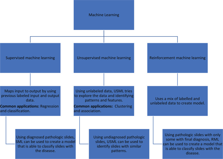 Machine Learning Applications in the Diagnosis of Benign and Malignant Hematological Diseases.