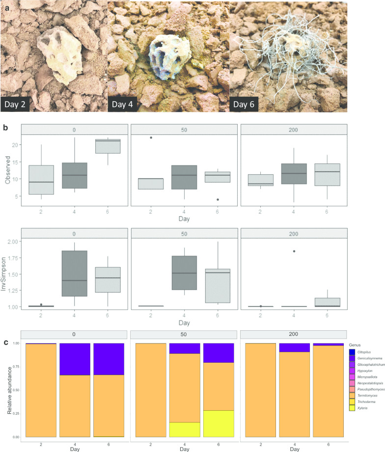 You don't have the guts: a diverse set of fungi survive passage through Macrotermes bellicosus termite guts.