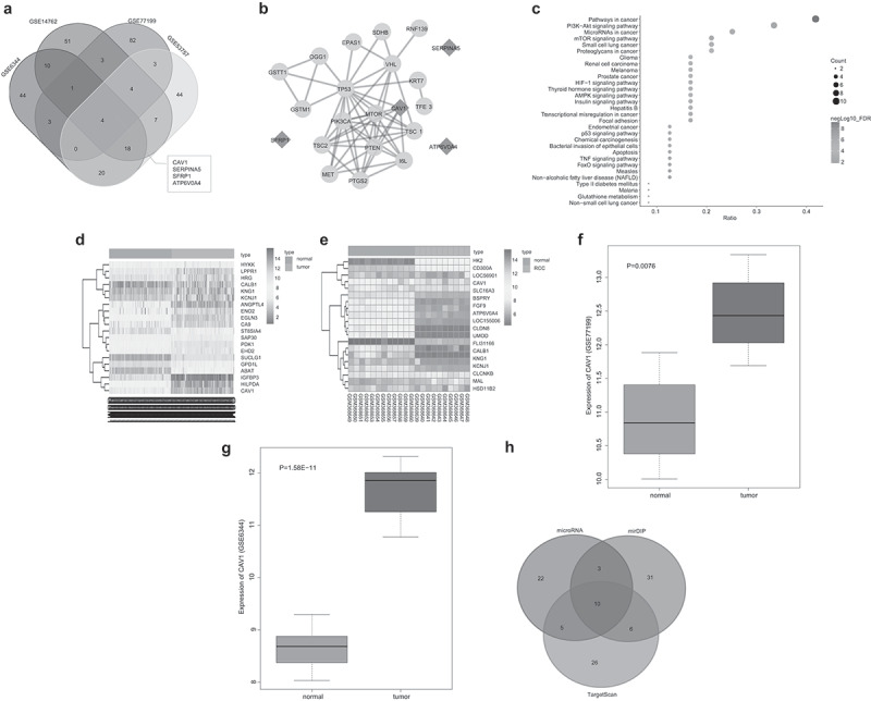 MicroRNA-203 inhibits epithelial-mesenchymal transition, migration, and invasion of renal cell carcinoma cells via the inactivation of the PI3K/AKT signaling pathway by inhibiting CAV1.