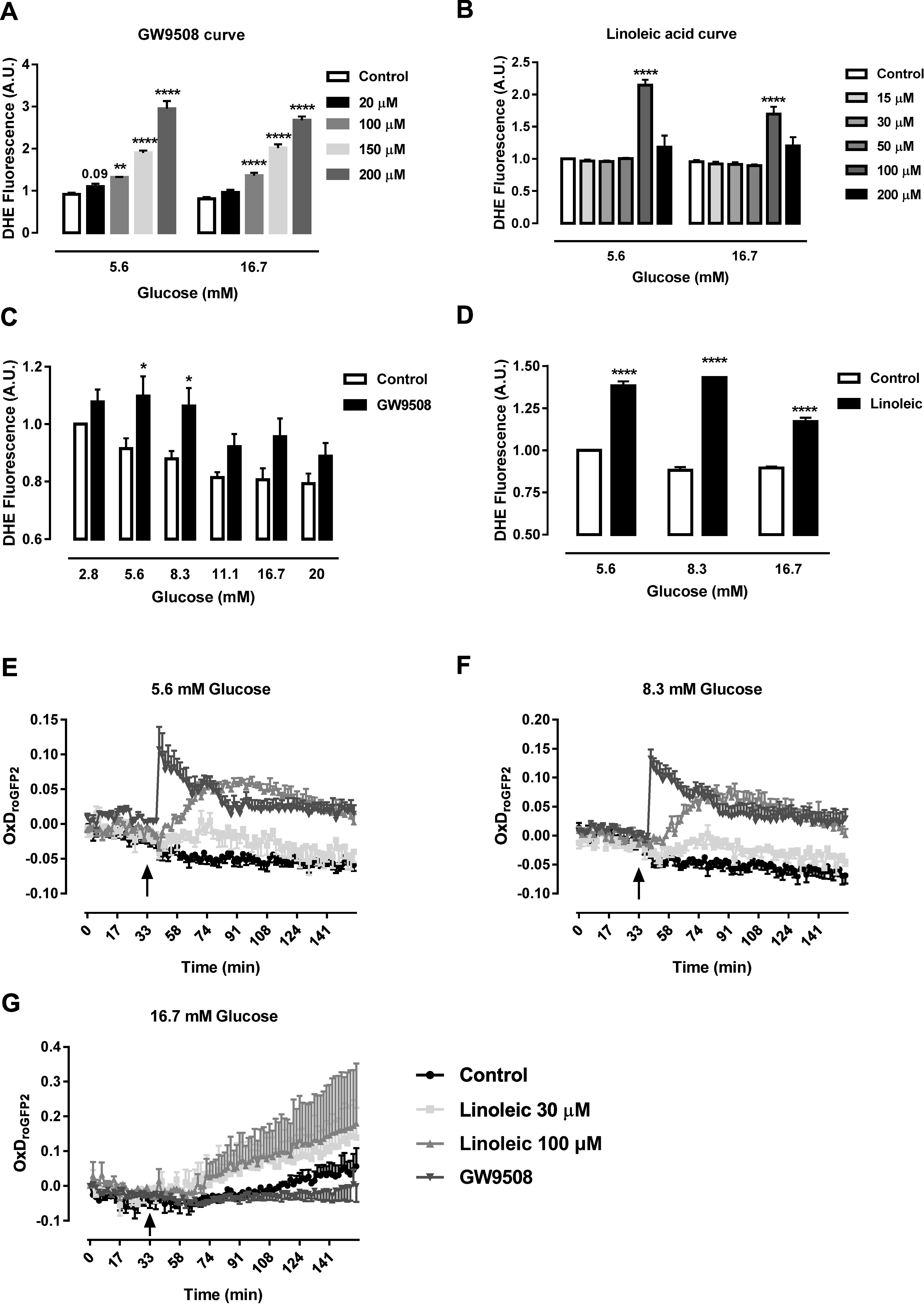 Evidence for NADPH oxidase activation by GPR40 in pancreatic β-cells.