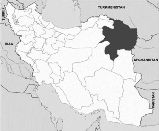 Molecular Epidemiology and Phylogeny of Crimean-Congo Haemorrhagic Fever (CCHF) Virus of Ixodid Ticks in Khorasan Razavi Province of Iran.