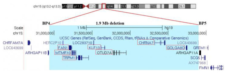 Chromosome 15q BP4-BP5 Deletion in a Girl with Nocturnal Frontal Lobe Epilepsy, Migraine, Circumscribed Hypertrichosis, and Language Impairment.