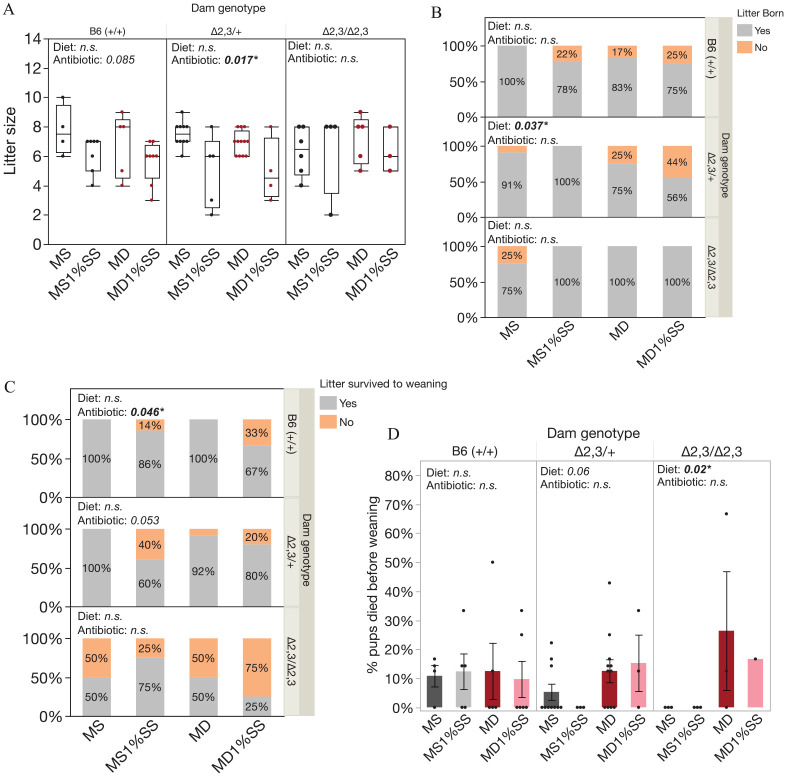 Maternal Microdeletion at the <i>H19/Igf2</i> ICR in Mice Increases Offspring Susceptibility to <i>In Utero</i> Environmental Perturbation.