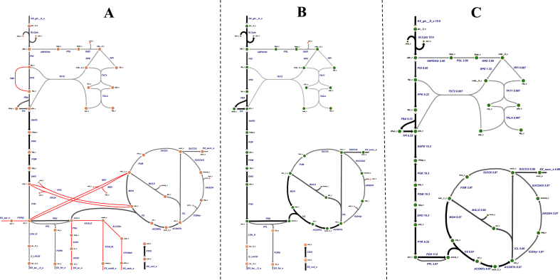 NetFlow: A tool for isolating carbon flows in genome-scale metabolic networks