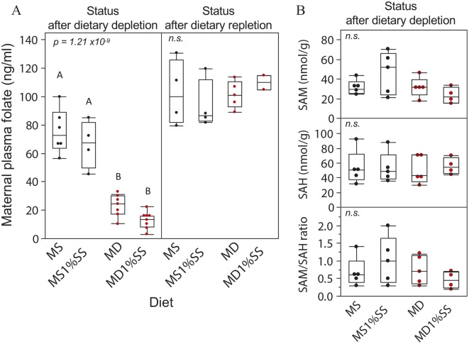 Maternal Microdeletion at the <i>H19/Igf2</i> ICR in Mice Increases Offspring Susceptibility to <i>In Utero</i> Environmental Perturbation.