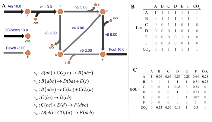 NetFlow: A tool for isolating carbon flows in genome-scale metabolic networks