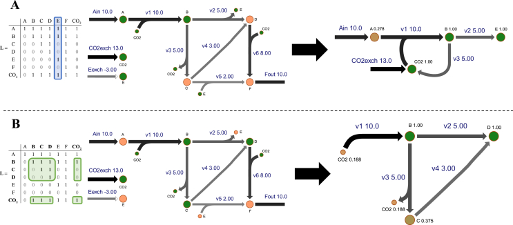 NetFlow: A tool for isolating carbon flows in genome-scale metabolic networks