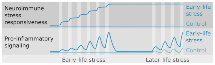 Early-life stress and inflammation: A systematic review of a key experimental approach in rodents.