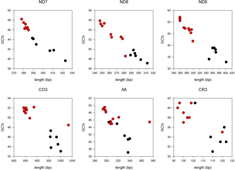 Mitochondrial DNAs provide insight into trypanosome phylogeny and molecular evolution.