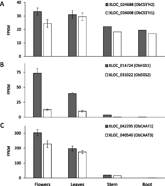 The genome sequence of tetraploid sweet basil, Ocimum basilicum L., provides tools for advanced genome editing and molecular breeding.