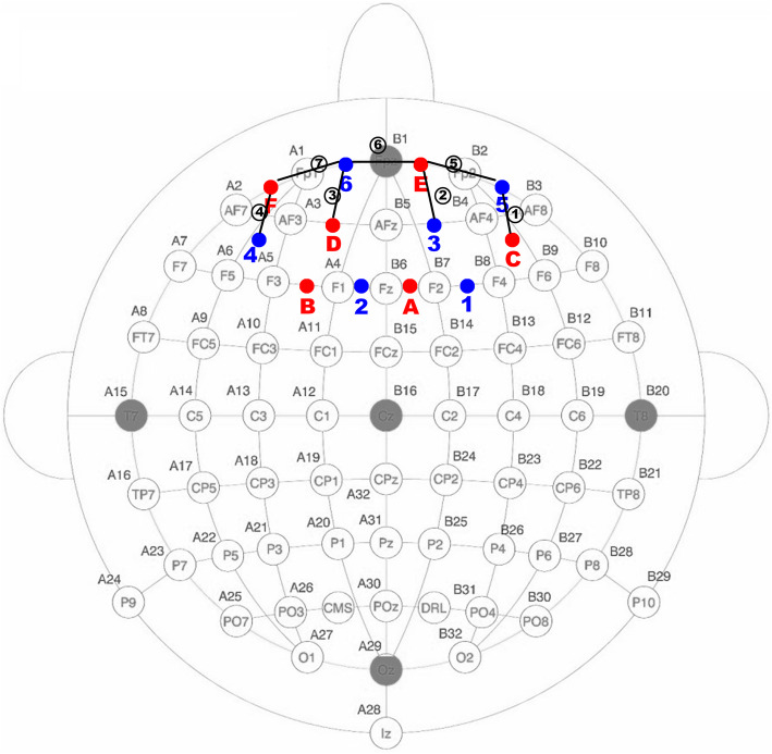 Functional near-infrared spectroscopy can detect low-frequency hemodynamic oscillations in the prefrontal cortex during steady-state visual evoked potential-inducing periodic facial expression stimuli presentation.