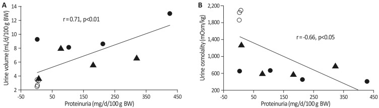 Association of Proteinuria with Urinary Concentration Defect in Puromycin Aminonucleoside Nephrosis.