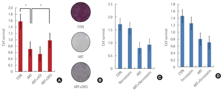 YM155, specific survivin inhibitor, can enhance artesunate-induced cytotoxicity in HCT116 colon cancer cells.