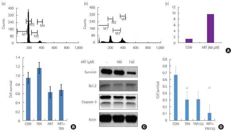 YM155, specific survivin inhibitor, can enhance artesunate-induced cytotoxicity in HCT116 colon cancer cells.