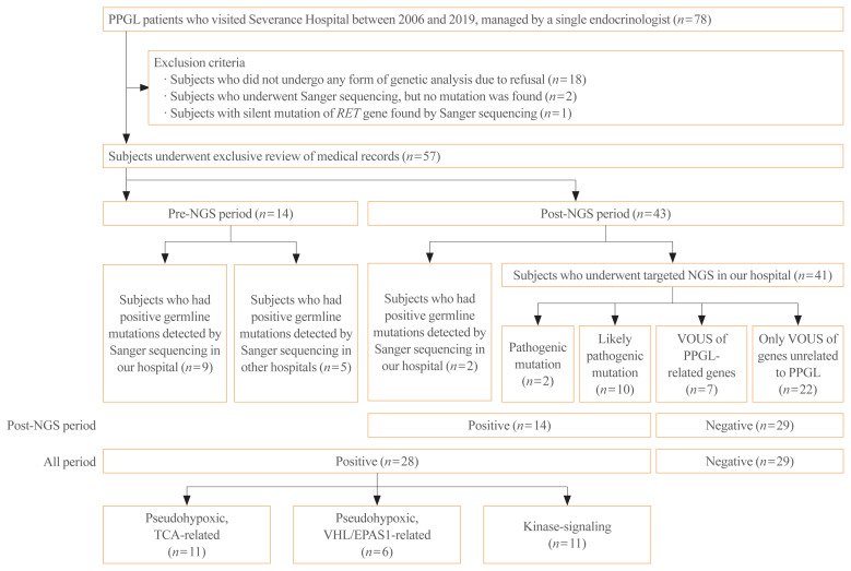 Genetic Analysis and Clinical Characteristics of Hereditary Pheochromocytoma and Paraganglioma Syndrome in Korean Population.
