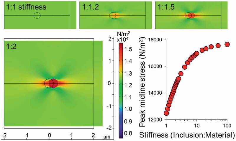 Lamin microaggregates lead to altered mechanotransmission in progerin-expressing cells.