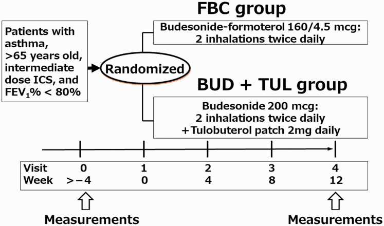 Comparison of 12-Week Additional Effect Features of Formoterol Co-Inhalation and Tulobuterol Patch on Budesonide Inhalation in Elderly Patients With Asthma.