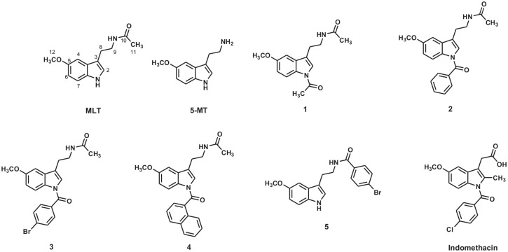 <i>In Silico</i> ADME, Metabolism Prediction and Hydrolysis Study of Melatonin Derivatives.