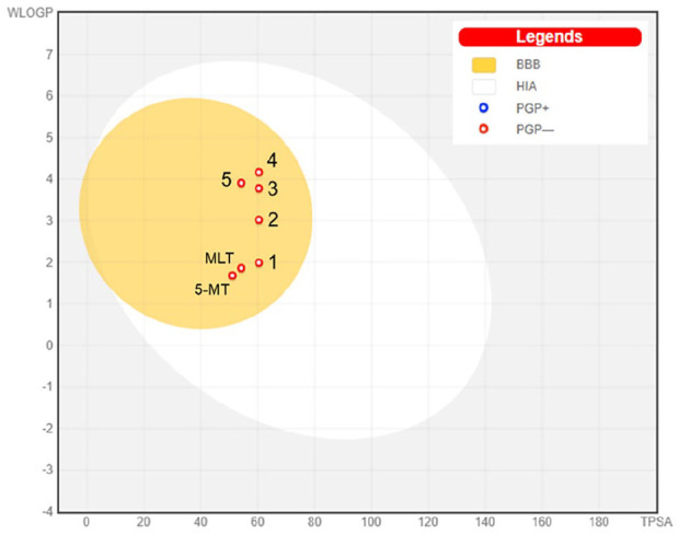 <i>In Silico</i> ADME, Metabolism Prediction and Hydrolysis Study of Melatonin Derivatives.